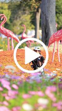 BIB:  <button type="button" onclick="openModal(27583458)" class="btn btn-primary btn-sm float-right" data-toggle="modal" data-target=".modal-high-quality">
                <i class="fa fa-download"></i> Download
                </button>